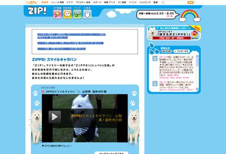 ZIP!の人気犬、ZIPPEI兄弟が死亡 Ameba News [アメーバニュース]