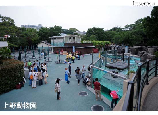 上野動物園など4園、障害をもつ子どもとその家族を閉園後に ...